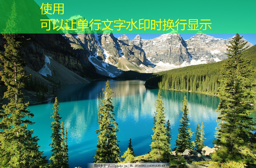 不同類型停車道閘的比較分析