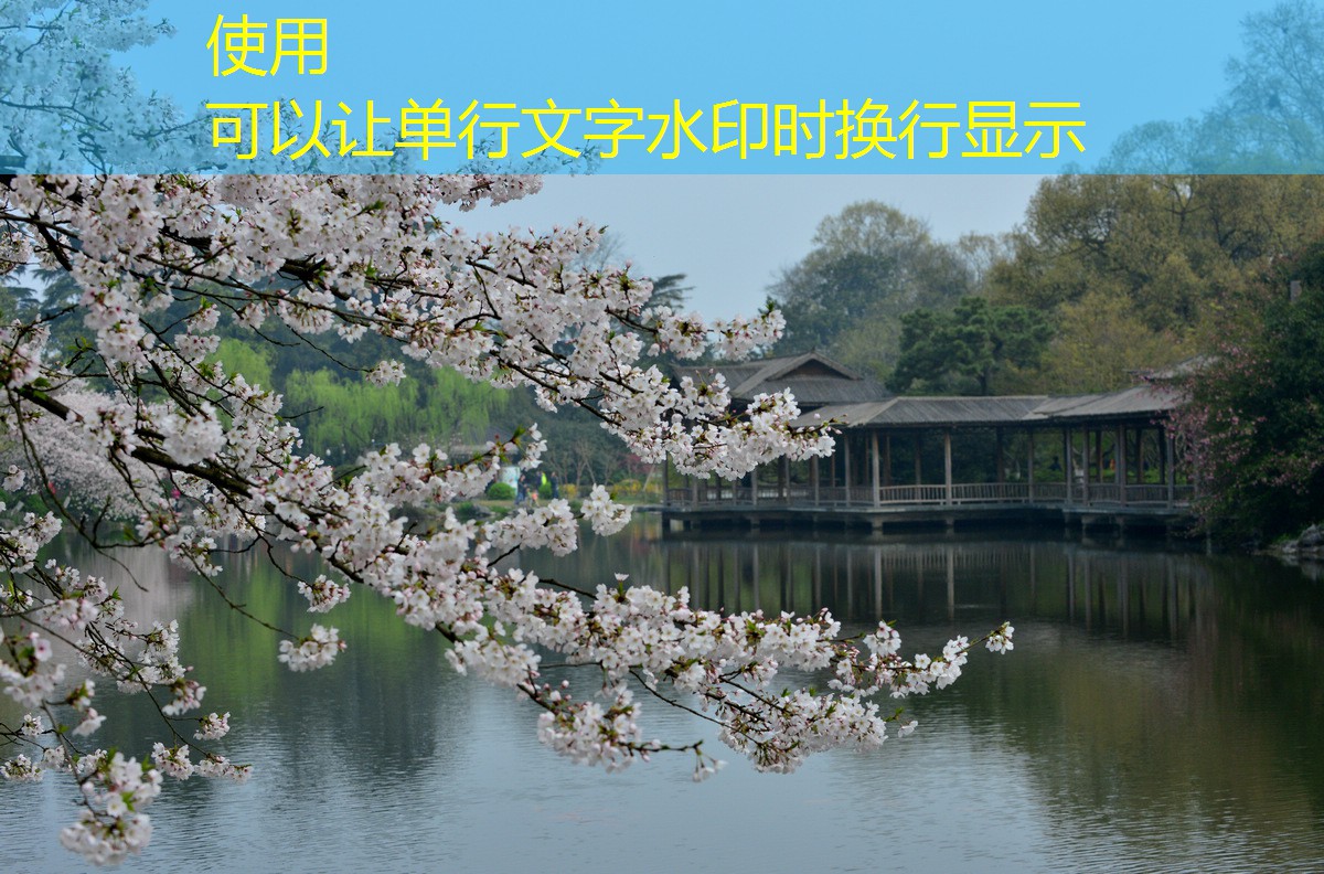 不同類型紅外報警器的特點比較
