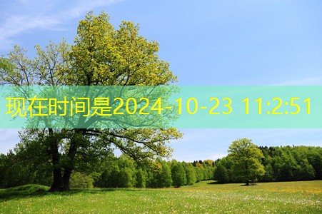 專業(yè)網(wǎng)絡(luò)布線的步驟詳解