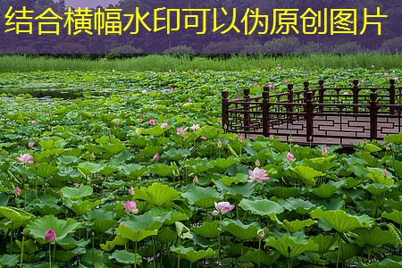 企業(yè)門禁考勤管理的關鍵要素