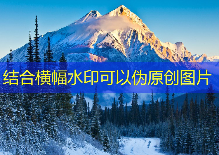 停車道閘在酒店行業(yè)的應用