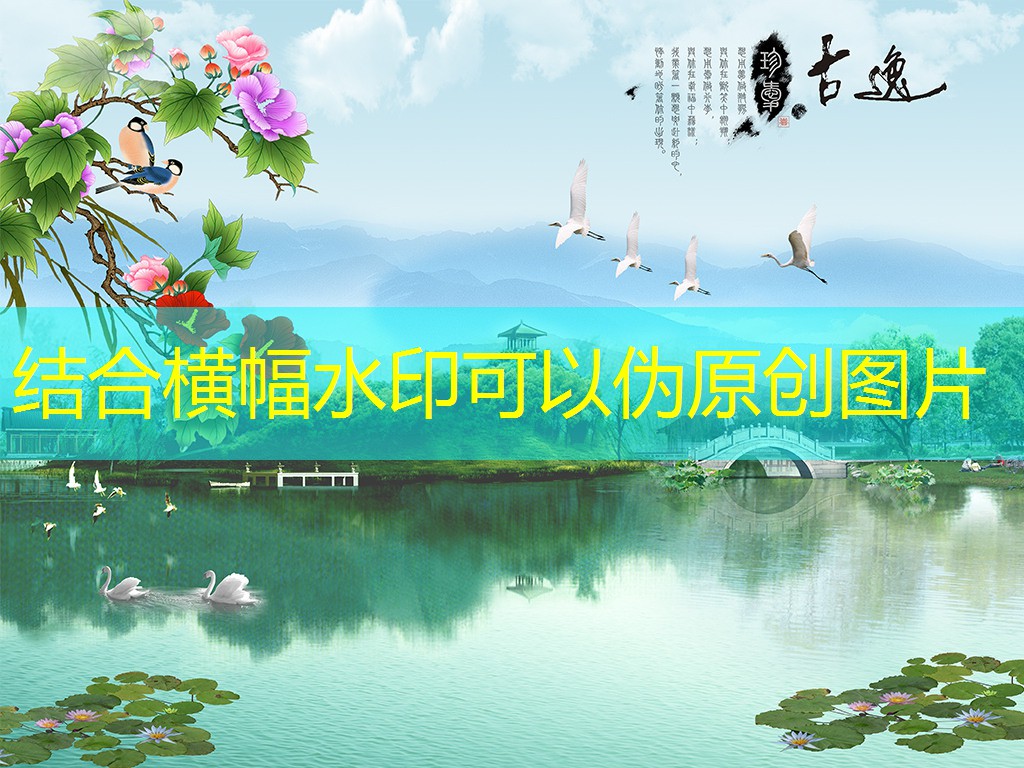 使用視頻會議提升客戶滿意度的策略