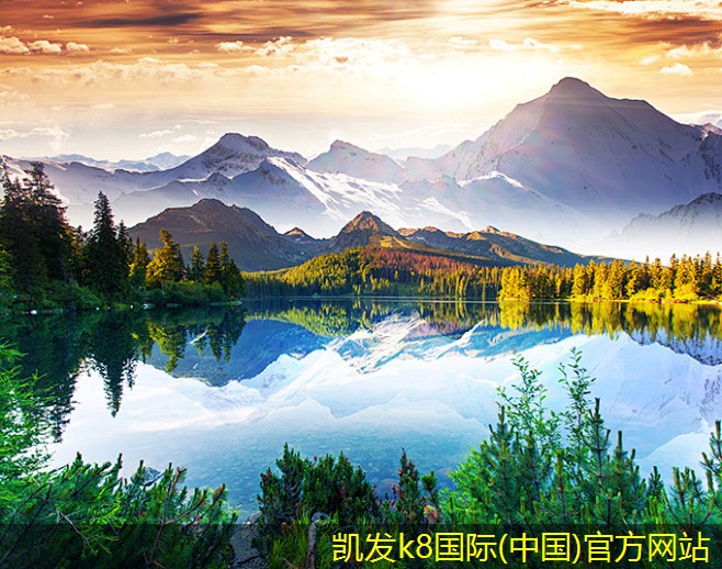 停車道閘的售后服務(wù)重要性
