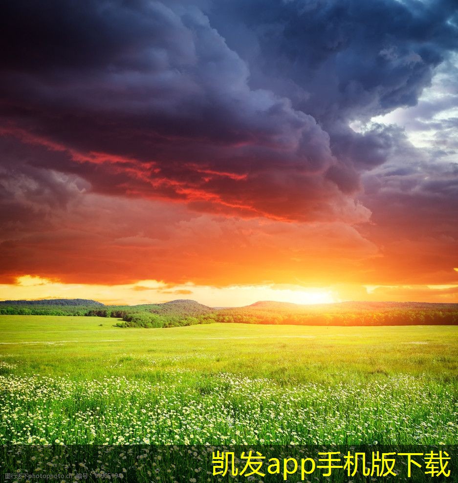 停車道閘的市場潛力評(píng)估
