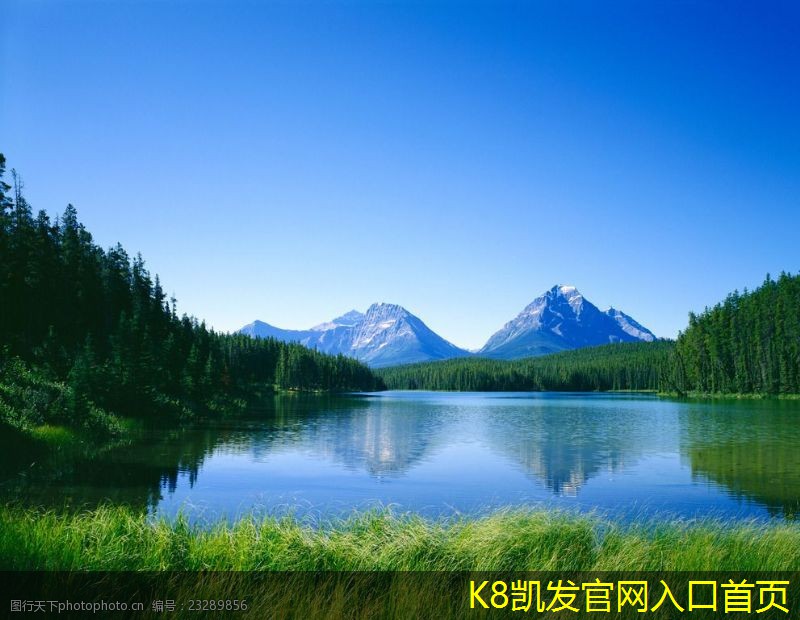 停車道閘的市場(chǎng)調(diào)研報(bào)告