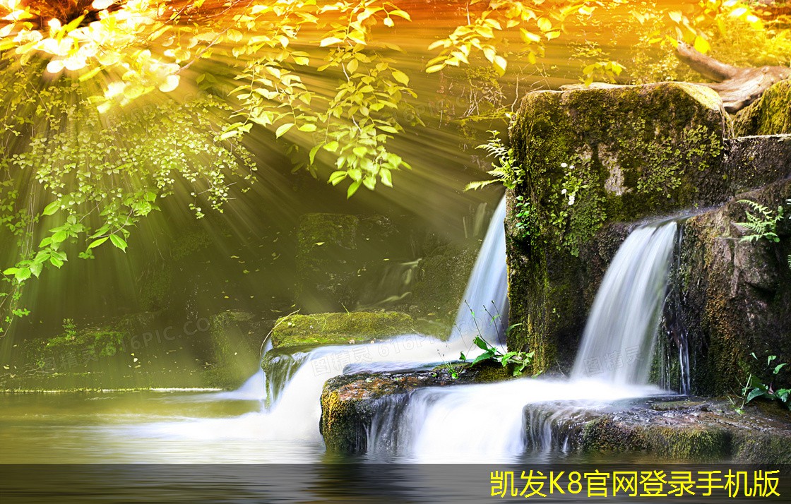 停車道閘的市場(chǎng)趨勢(shì)分析