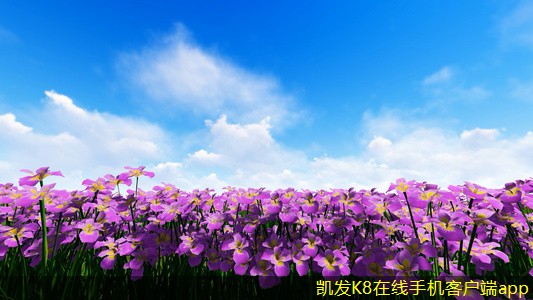 停車(chē)道閘的性能評(píng)測(cè)標(biāo)準(zhǔn)