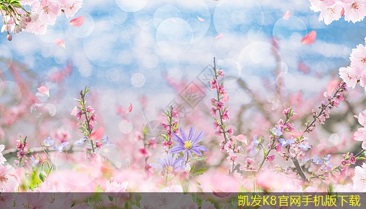 可視對講與家庭互聯(lián)網(wǎng)絡(luò)的結(jié)合