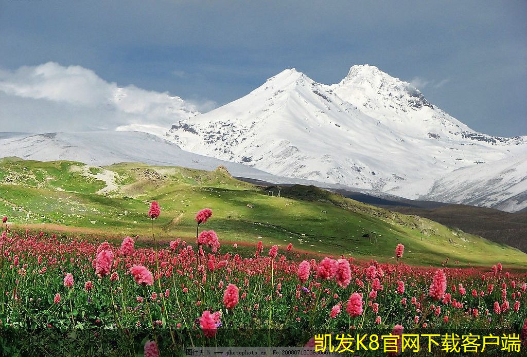 可視對(duì)講與智能手機(jī)的結(jié)合應(yīng)用