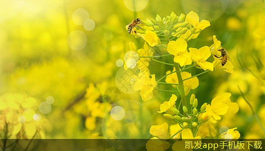 可視對講在商務(wù)會議中的有效應(yīng)用