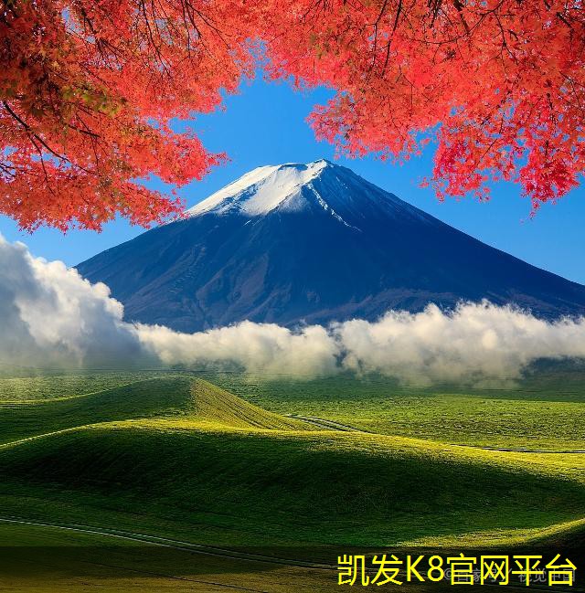 可視對講在遠程辦公中的實用性