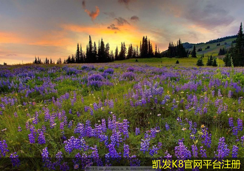 可視對講系統(tǒng)的優(yōu)勢解析