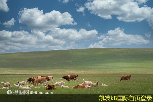 在商業(yè)中心使用停車(chē)道閘的優(yōu)勢(shì)
