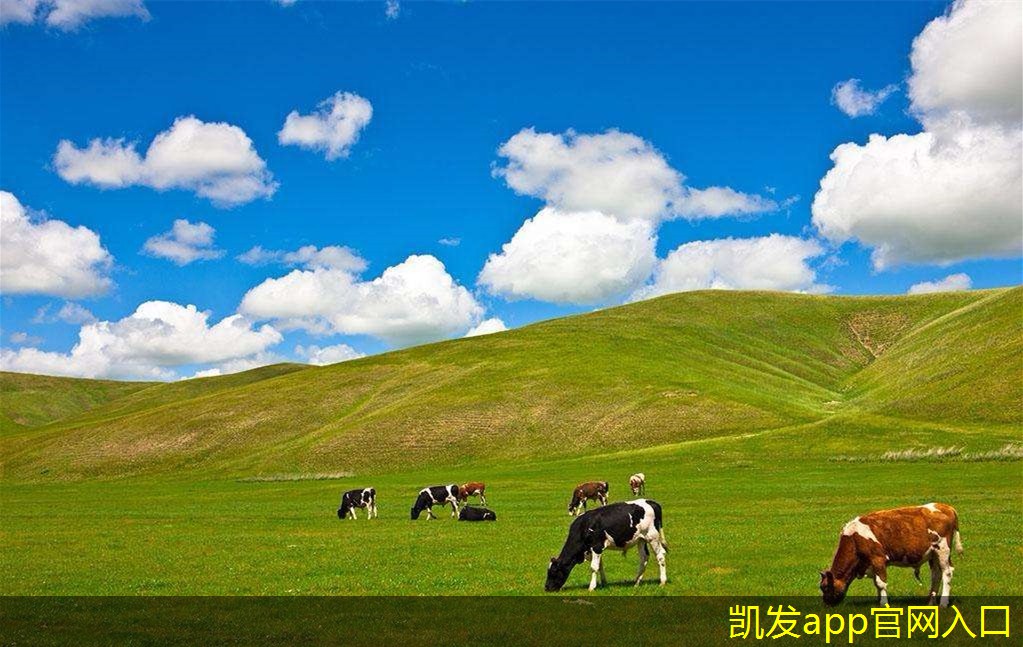 在視頻會議中保持注意力的技巧