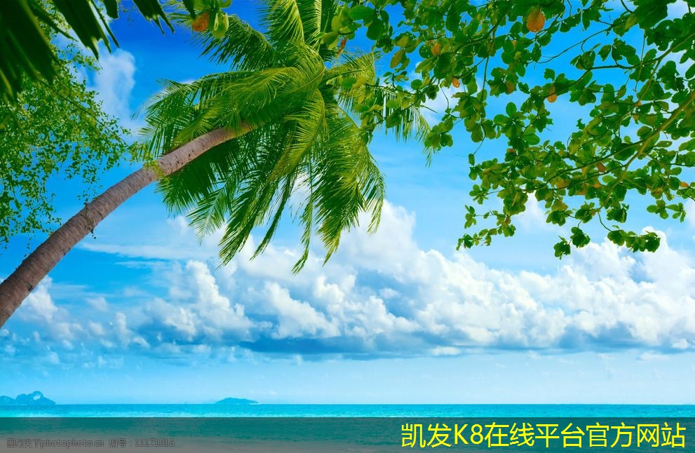 在視頻會議中創(chuàng)建有效的議程
