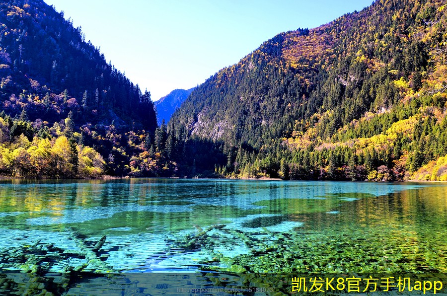 如何充分發(fā)揮集團(tuán)電話的功能