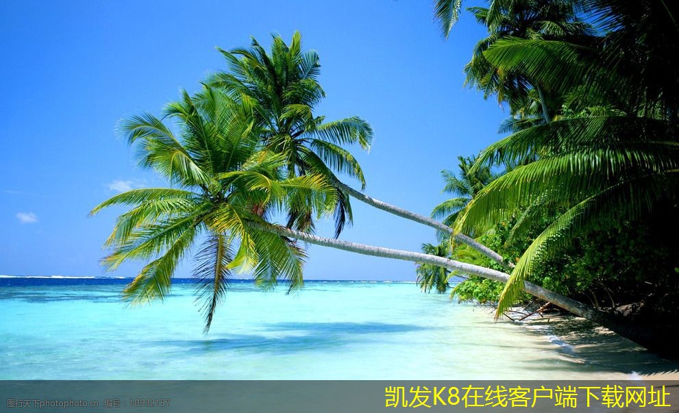 如何克服視頻會議中的技術(shù)障礙