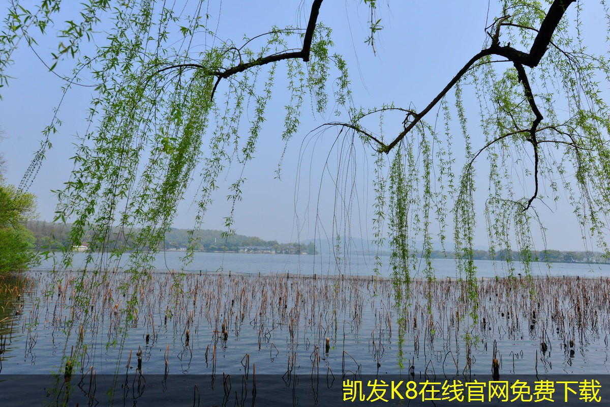 如何創(chuàng)建專屬的背景音樂播放列表