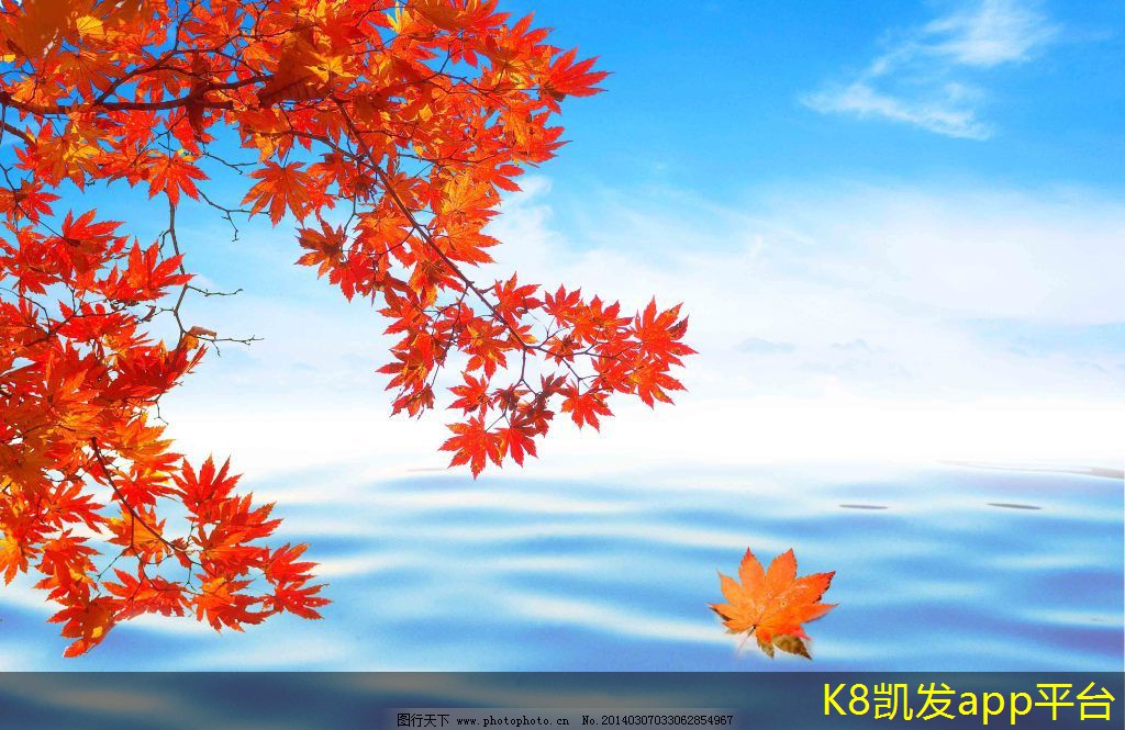 如何利用安防監(jiān)控進(jìn)行市場(chǎng)研究