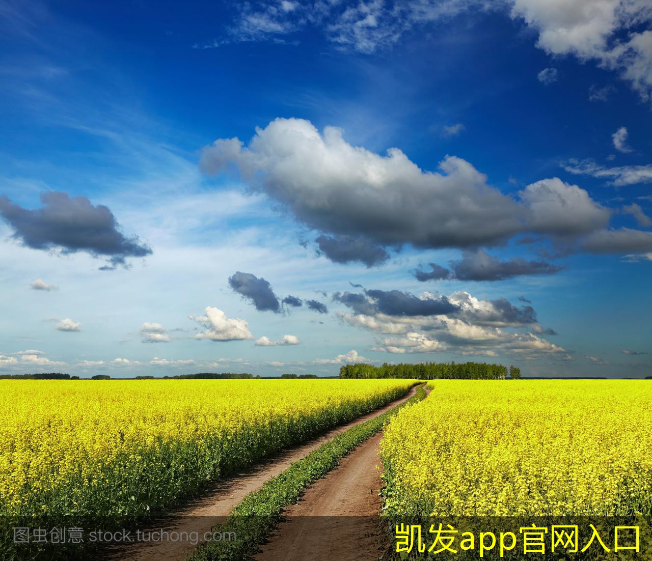 如何利用紅外報(bào)警提升商鋪安全