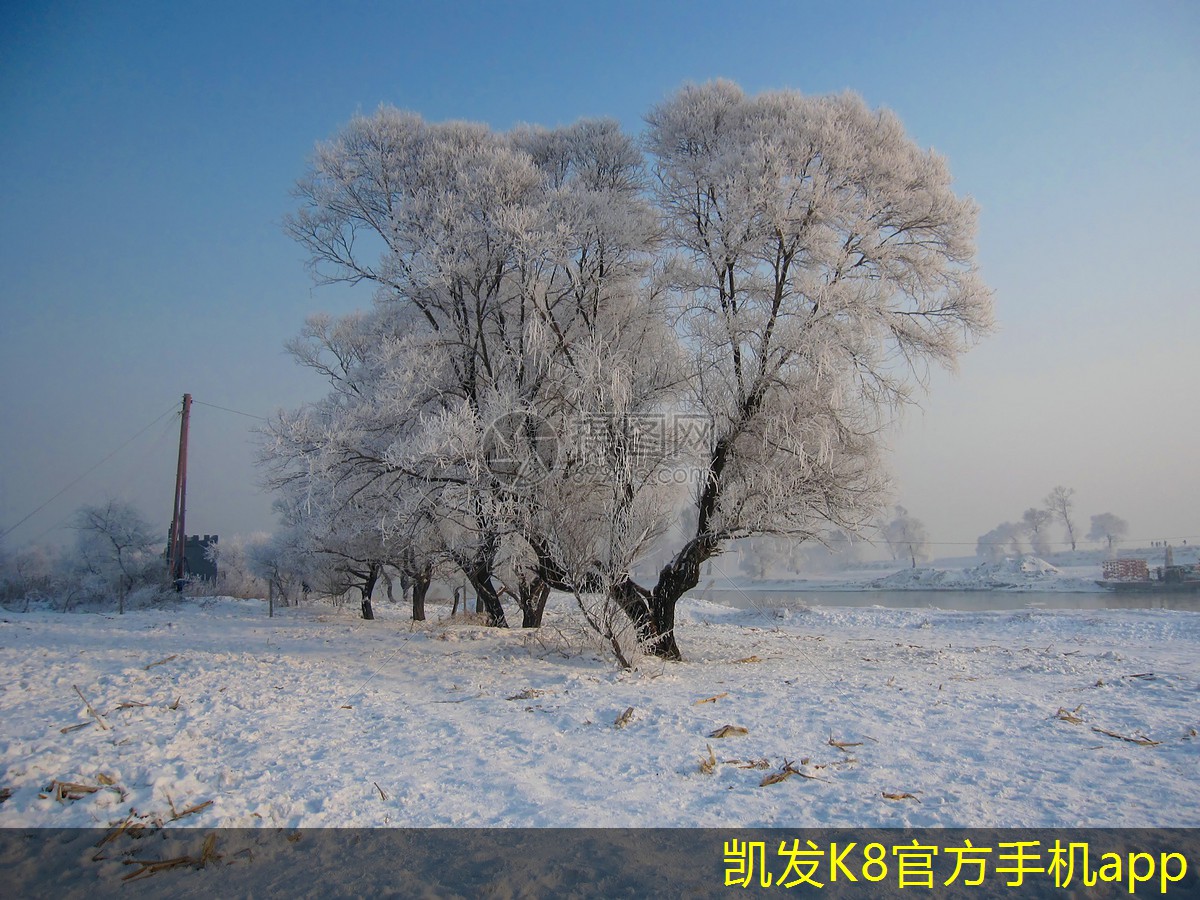 如何利用背景音樂營造家庭聚會的氛圍