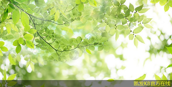 如何利用視頻會(huì)議提升員工滿意度