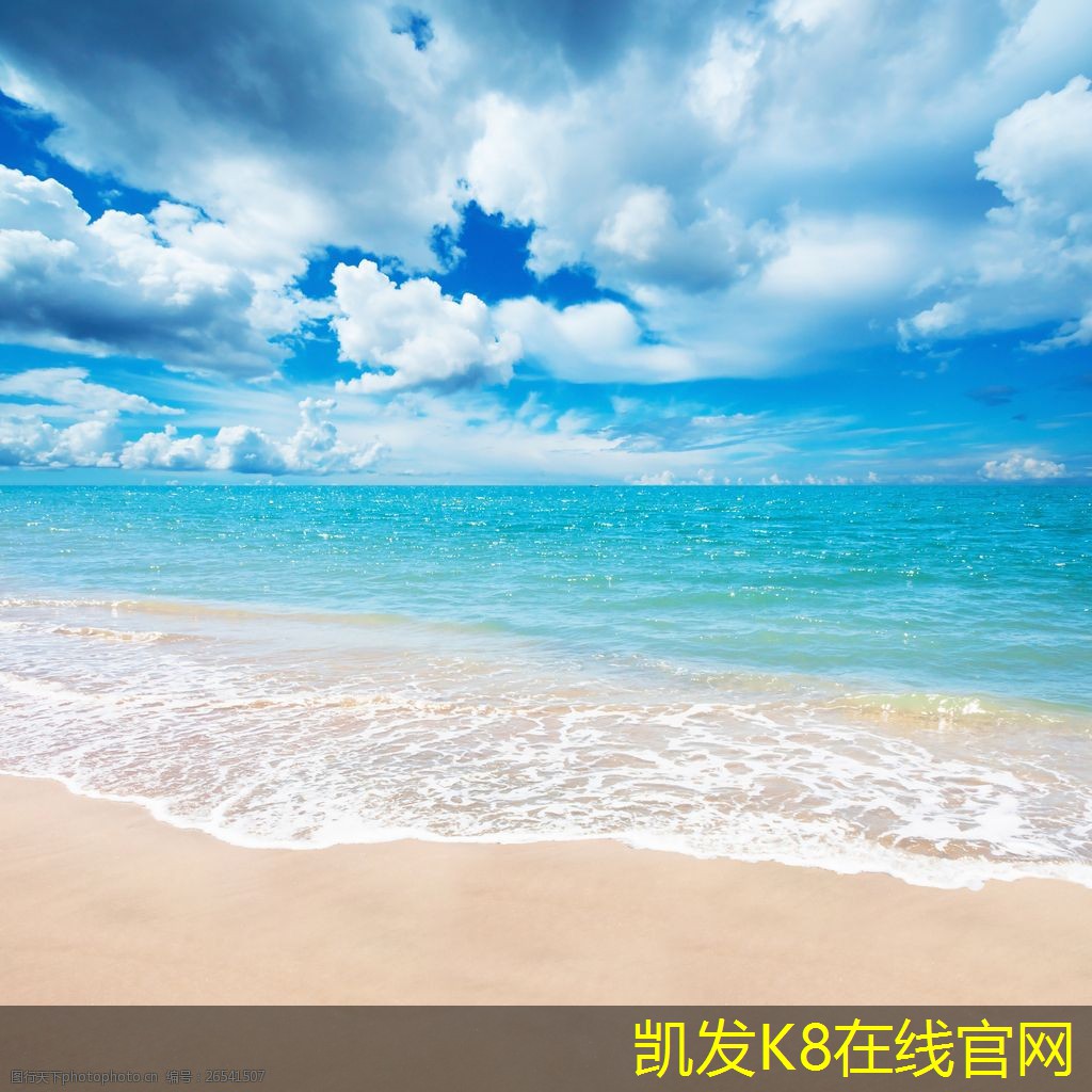 如何利用視頻會(huì)議進(jìn)行市場調(diào)研