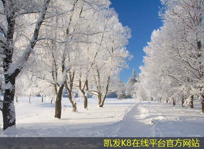 如何利用門禁考勤提升團隊協(xié)作