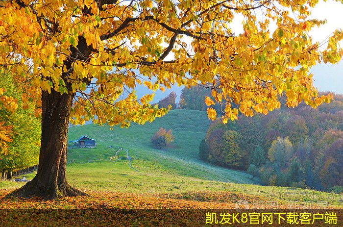 如何制定安防監(jiān)控系統(tǒng)的預(yù)算