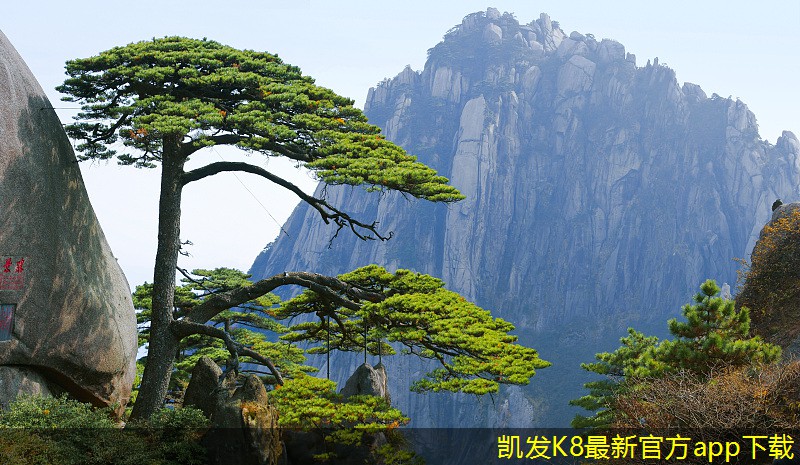 如何制定高效的門禁考勤政策