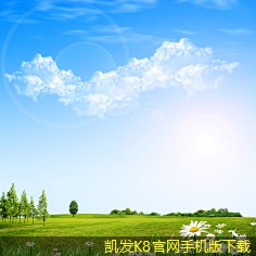 如何在視頻會議中設(shè)定規(guī)則