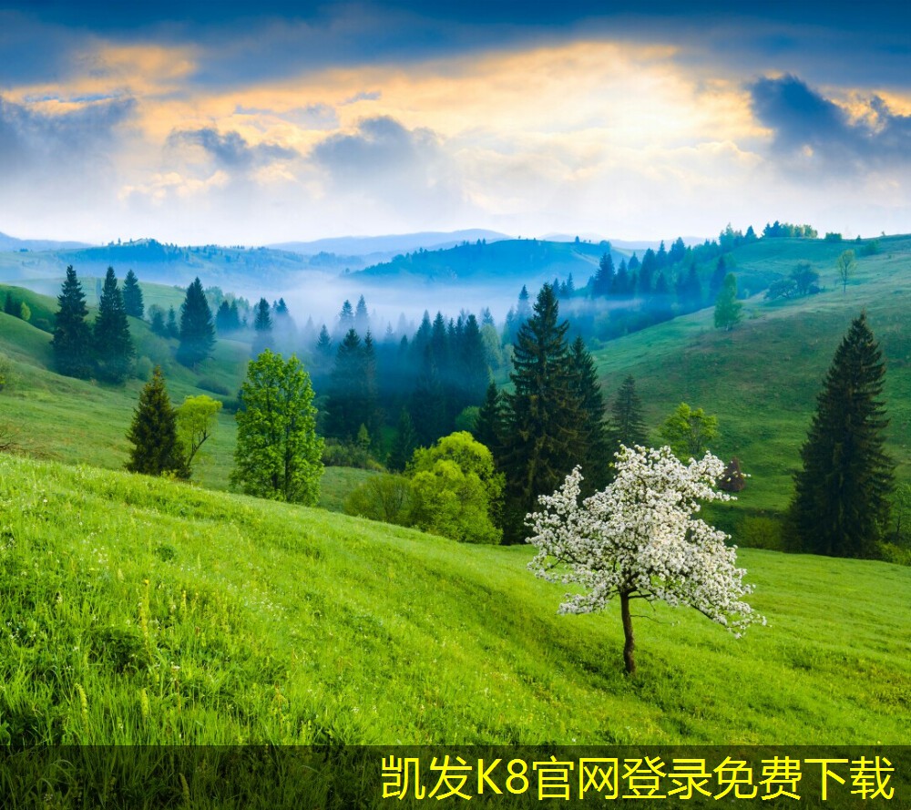 如何在視頻會(huì)議中進(jìn)行有效的反饋