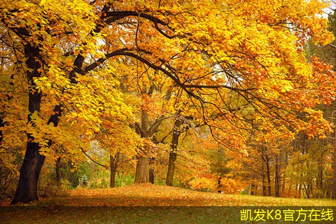 如何增強(qiáng)紅外報(bào)警的防護(hù)效果