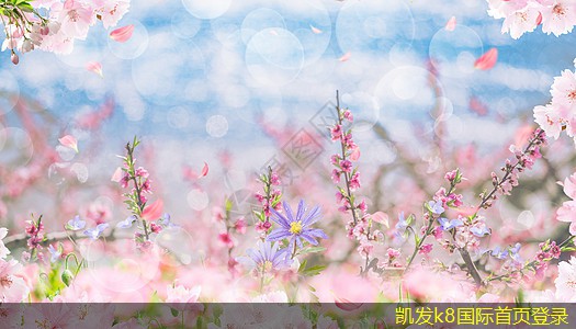 如何實(shí)現(xiàn)紅外報(bào)警與手機(jī)聯(lián)動(dòng)