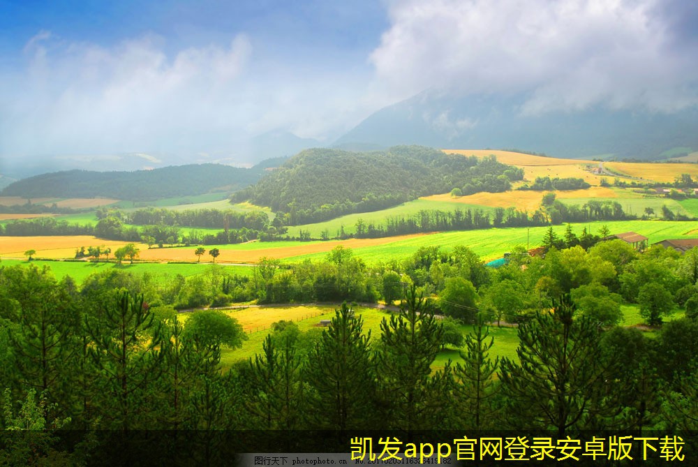 如何快速上手新的集團(tuán)電話系統(tǒng)