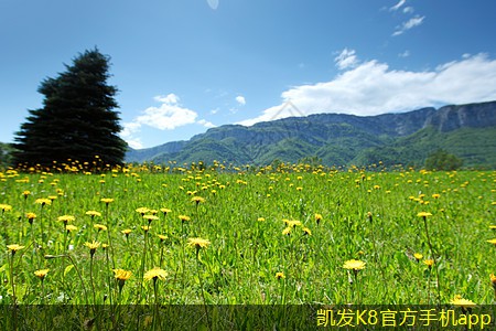 如何提高視頻會議的參與感