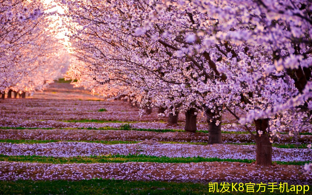 如何整合不同品牌的安防監(jiān)控設(shè)備