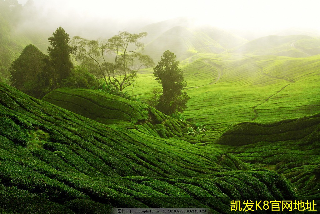 如何有效管理安防監(jiān)控數(shù)據(jù)