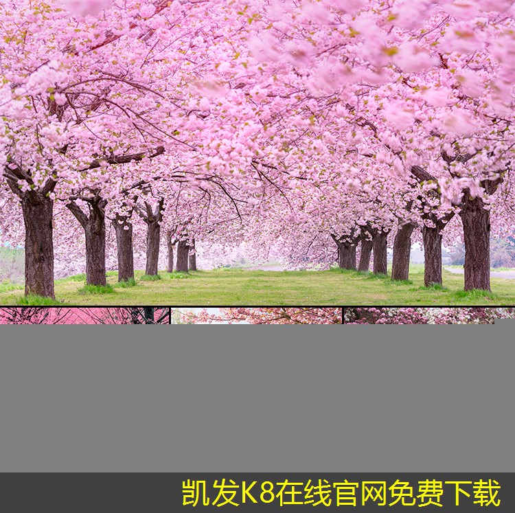 如何確保停車道閘的穩(wěn)定性