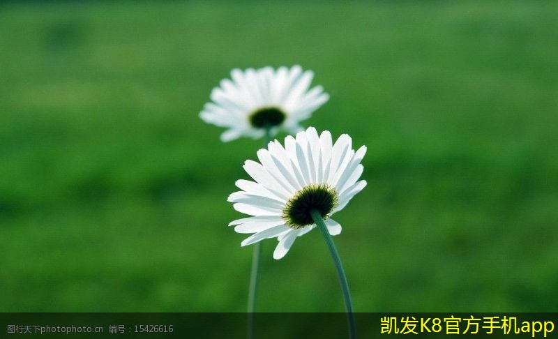 如何確保門禁考勤數(shù)據(jù)的準(zhǔn)確性