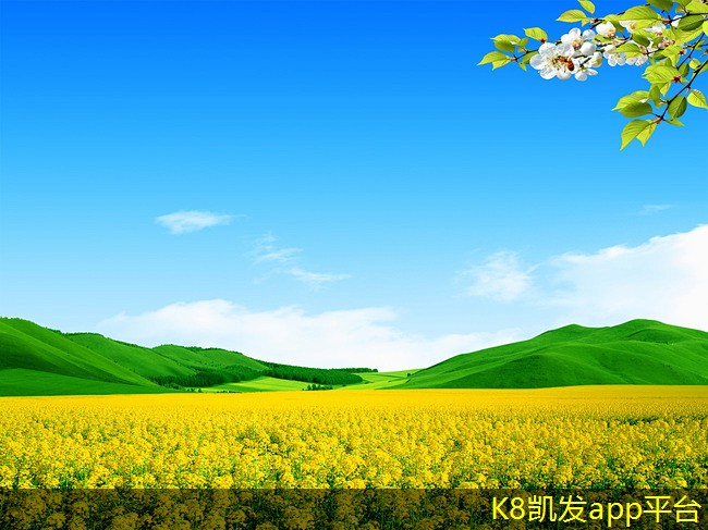 背景音樂在現(xiàn)代藝術(shù)展覽中的角色