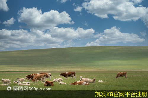 背景音樂(lè)如何提升在線課程的吸引力