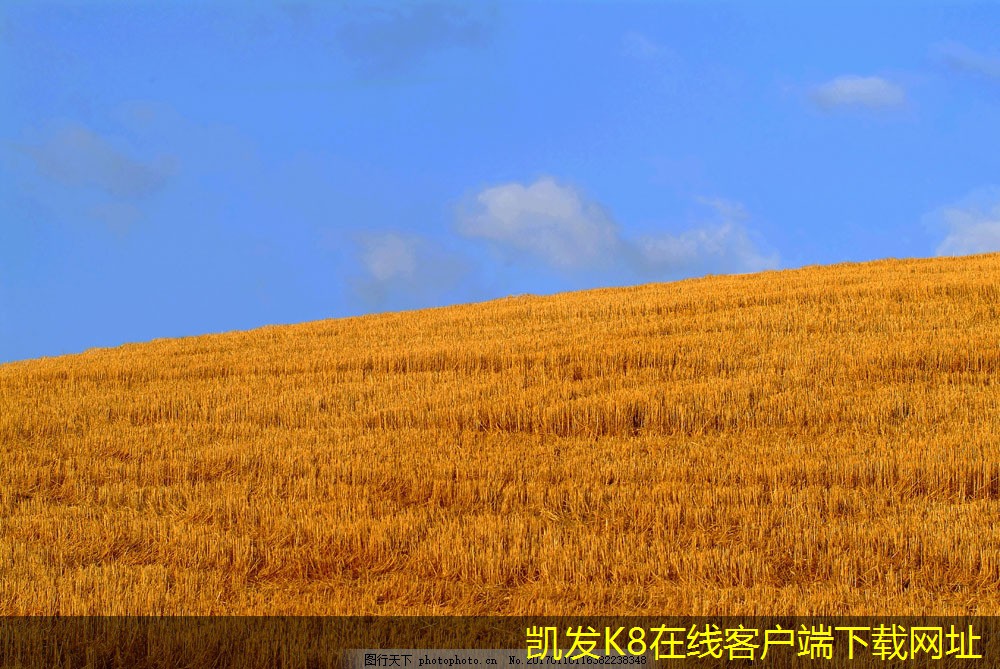 背景音樂(lè)對(duì)工作場(chǎng)所文化的影響