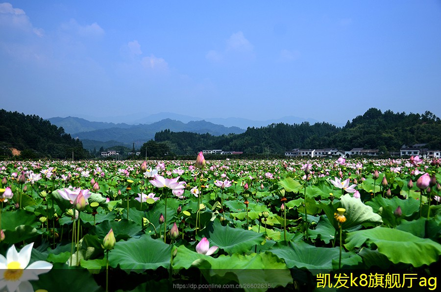 背景音樂對老年人生活質(zhì)量的影響