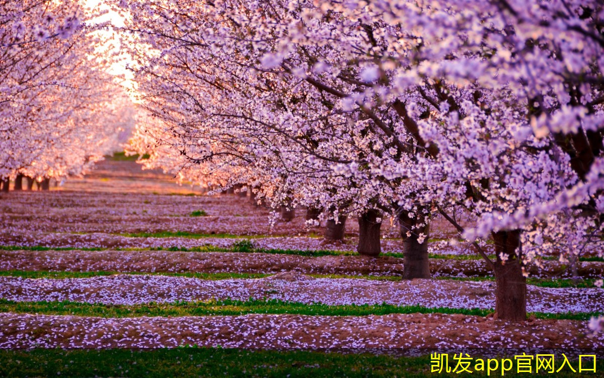 背景音樂對閱讀體驗的影響