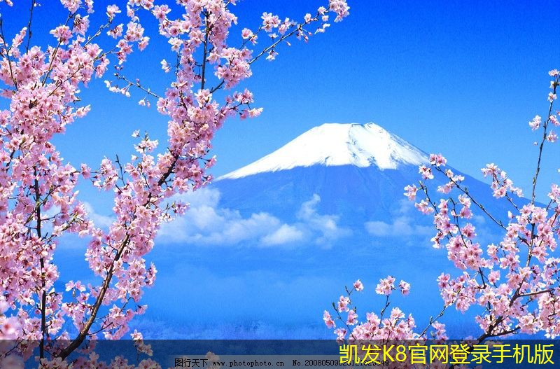 自動(dòng)化門(mén)禁考勤對(duì)企業(yè)發(fā)展的影響