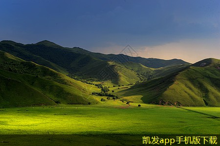 自動(dòng)泊車(chē)與停車(chē)道閘的協(xié)同作用