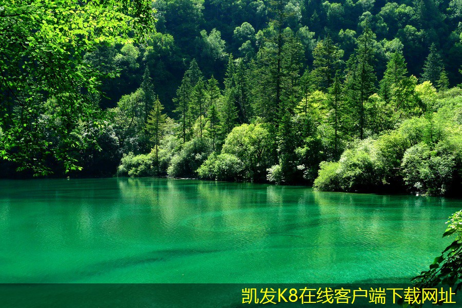 視頻會議與面對面會議的優(yōu)劣分析