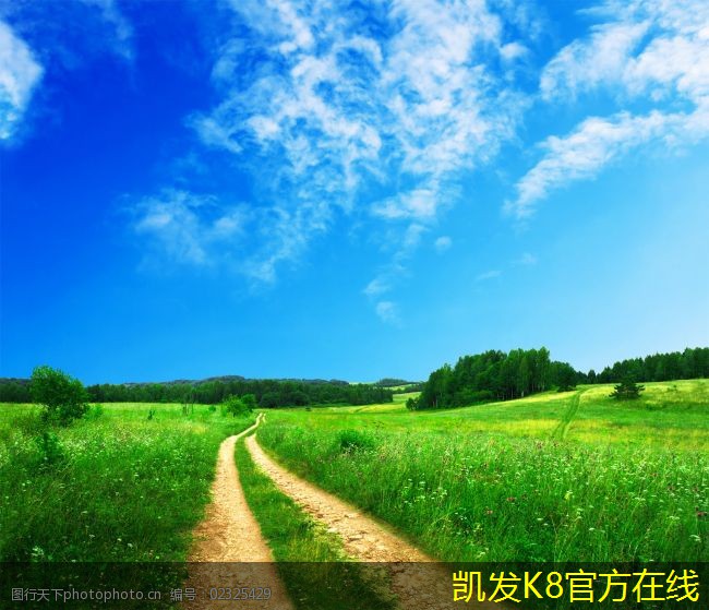 視頻會(huì)議中有效溝通的秘訣