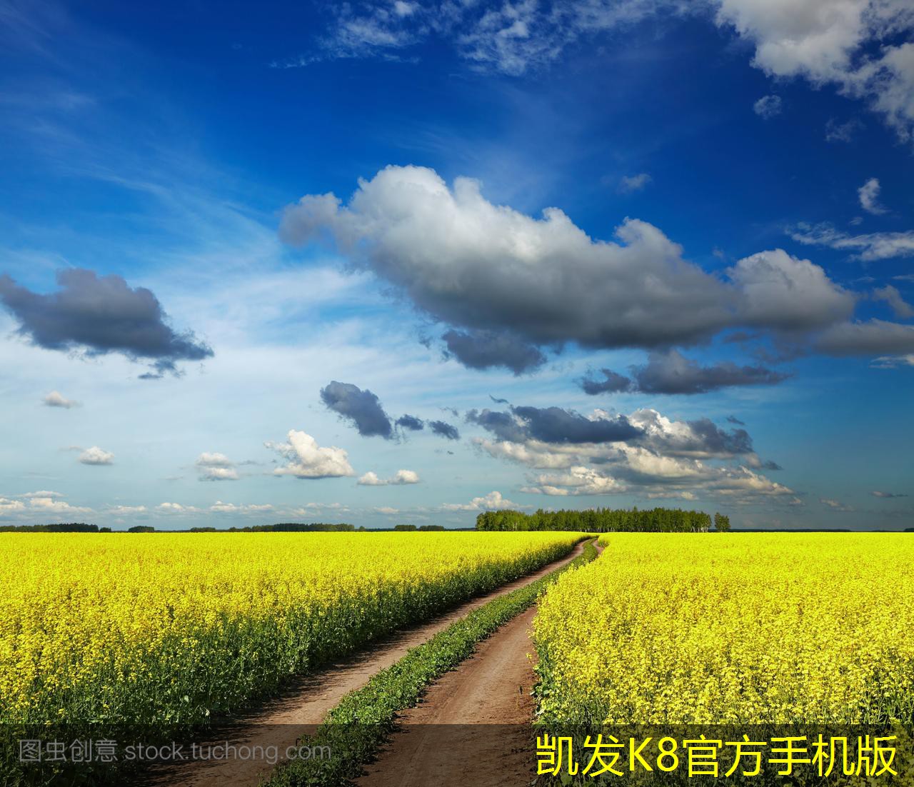超級無線路由器推薦